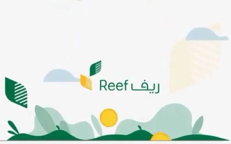 “رابط reef.gov.sa” الاستعلام عن دعم ريف النفاذ الوطني 1446